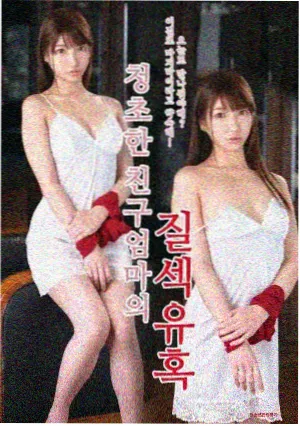 第九个夏天剧集封面